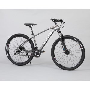Ziggi 29er אופני הרים זנב קשיח אפור