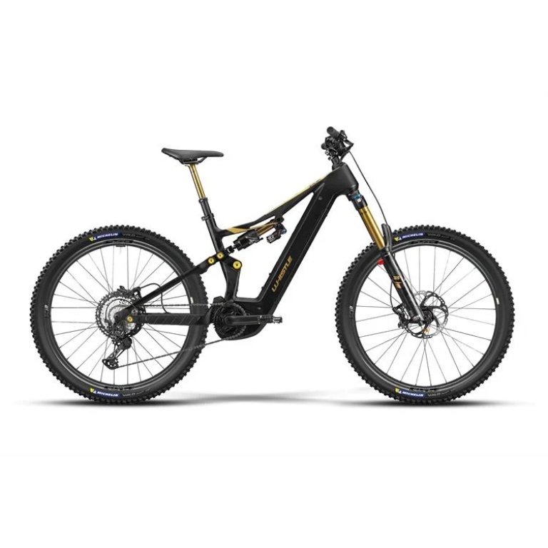 אופני אנדורו חשמליים – Whistle B-Rush C12.5 SL